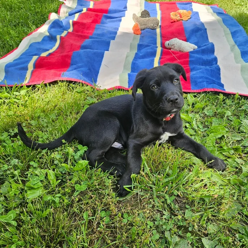 Kona thumbnail 6