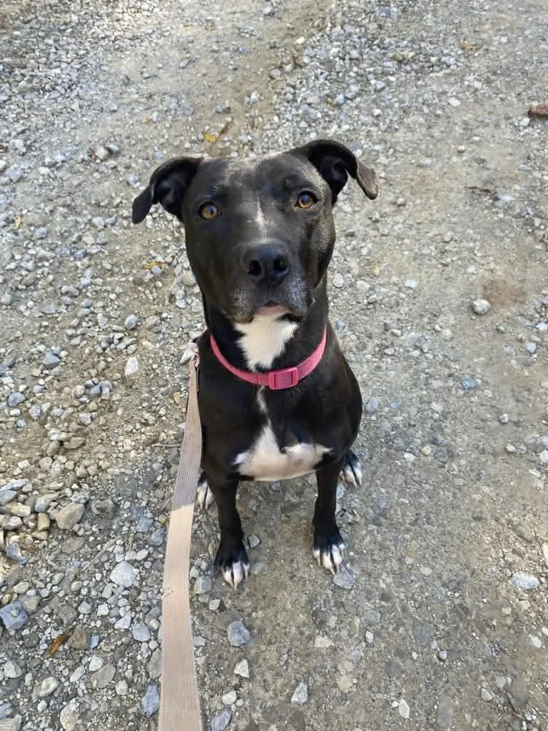 Summer Cl Located In thumbnail 2