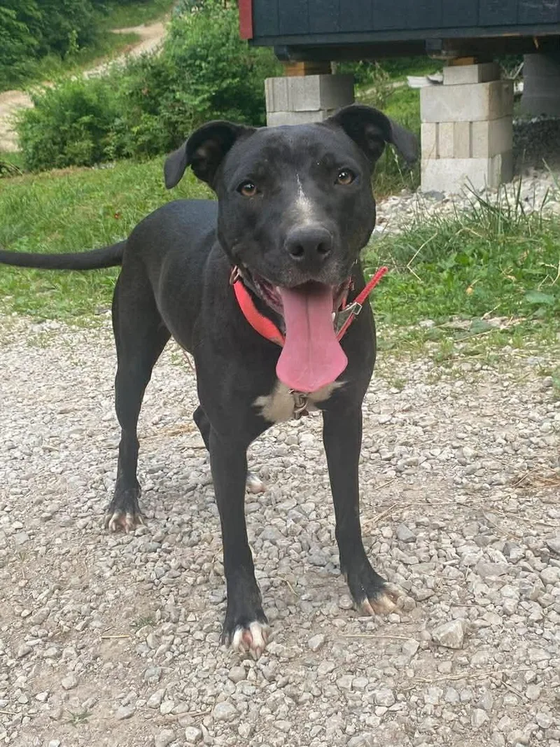 Summer Cl Located In thumbnail 3