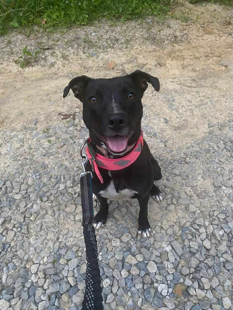 Summer Cl Located In thumbnail 4