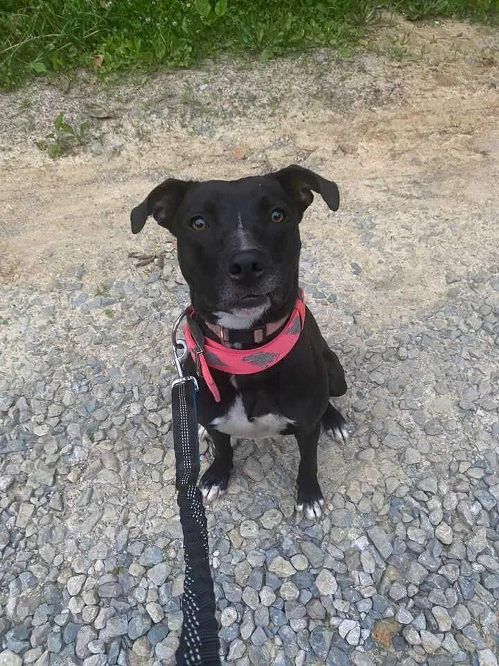 Summer Cl Located In