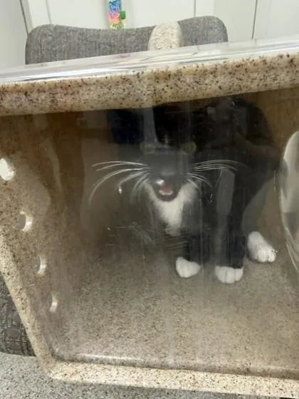 TNR S Donaghey