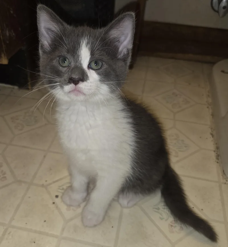 Marshmallow Sky thumbnail 2