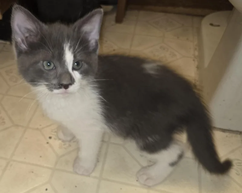 Marshmallow Sky thumbnail 3