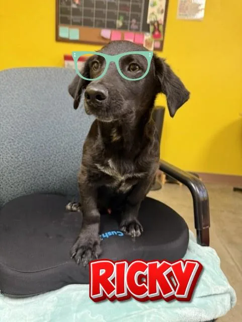 Ricky