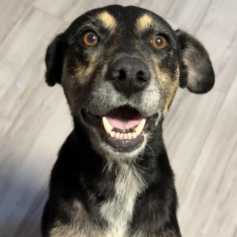 Maggie Alabama