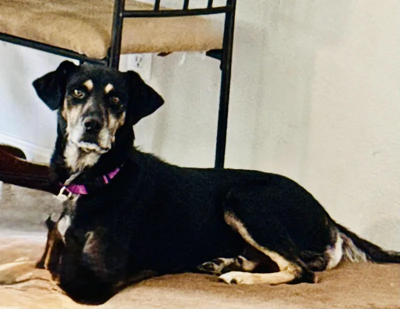 Maggie Alabama thumbnail 2