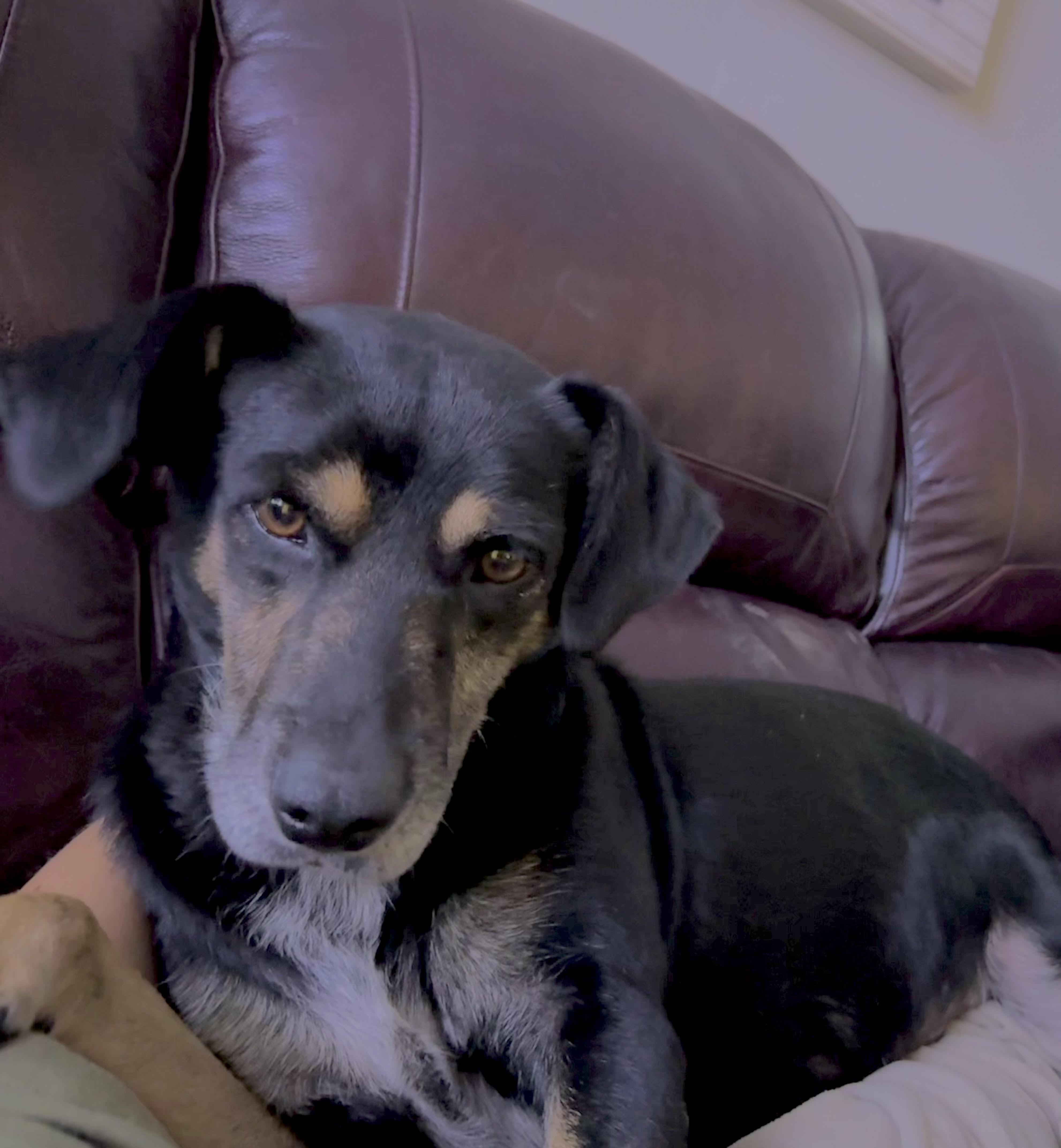 Maggie Alabama thumbnail 5