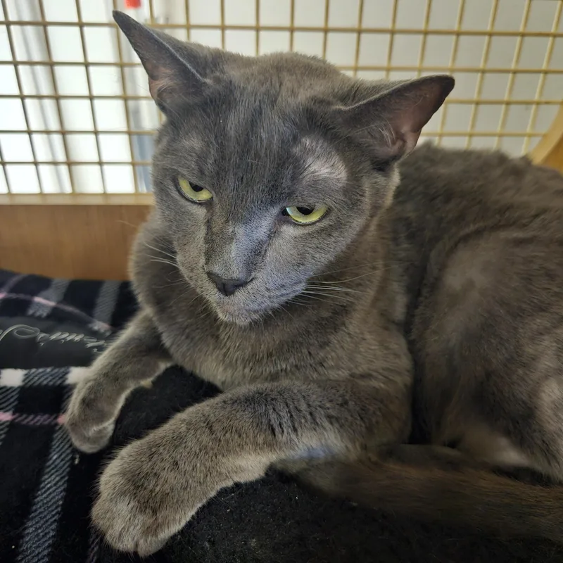 Dot And Doodle thumbnail 3