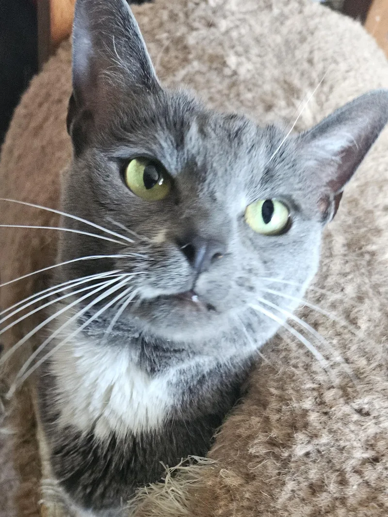 Dot And Doodle thumbnail 4