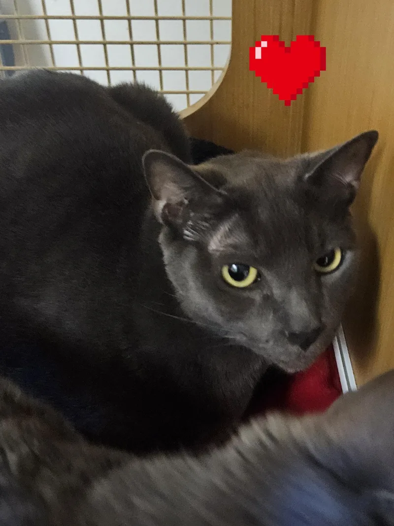 Dot And Doodle thumbnail 5