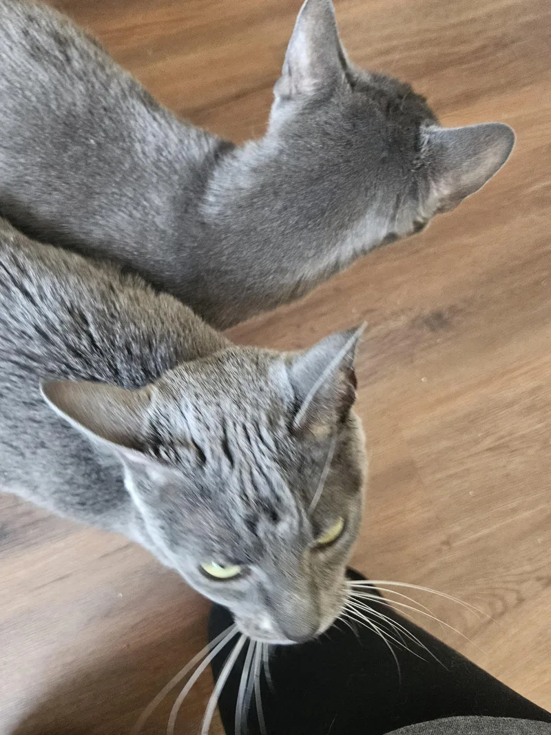 Dot And Doodle thumbnail 6