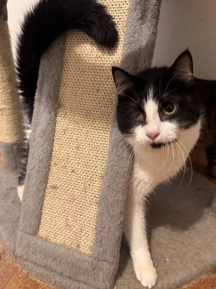 Mayim Bialak thumbnail 2