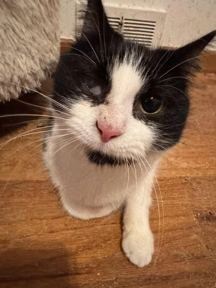 Mayim Bialak thumbnail 3