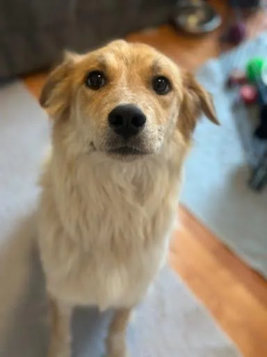 Lollapalooza thumbnail 2