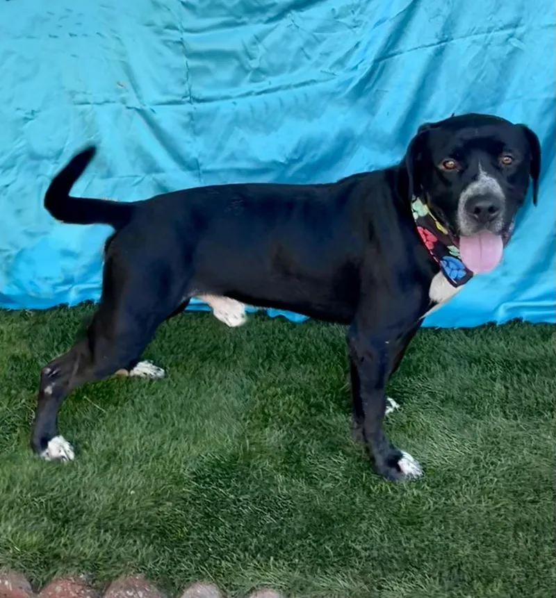 Happy thumbnail 4