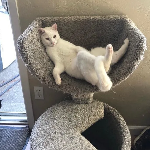 Creature thumbnail 3