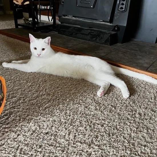 Creature thumbnail 4