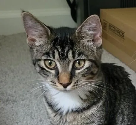 Tabitha thumbnail 3