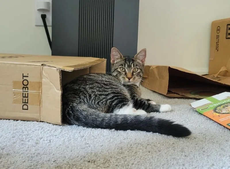 Tabitha thumbnail 5