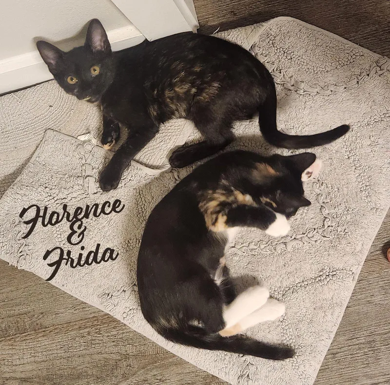 Florence & Frida Bondedsisters