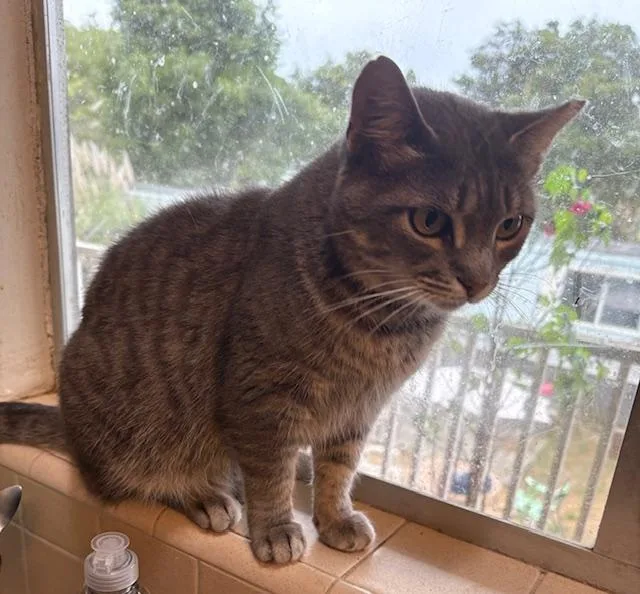 Genevieve thumbnail 4