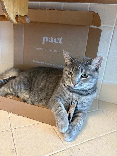 Genevieve thumbnail 6