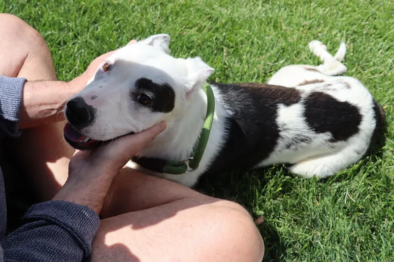 Maisy thumbnail 2
