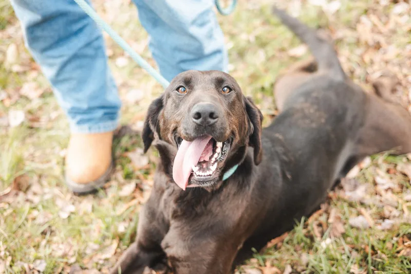 Odessatransport thumbnail 5