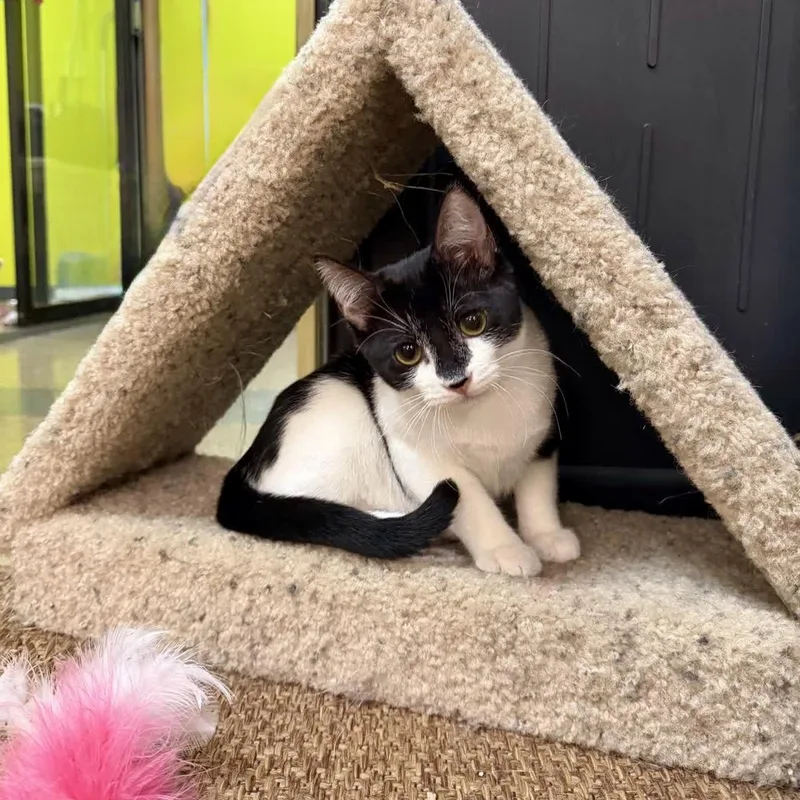Poppy and her  thumbnail 3