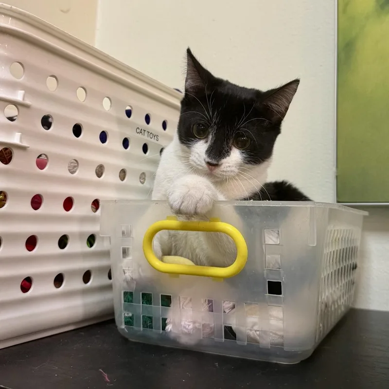 Poppy and her  thumbnail 4