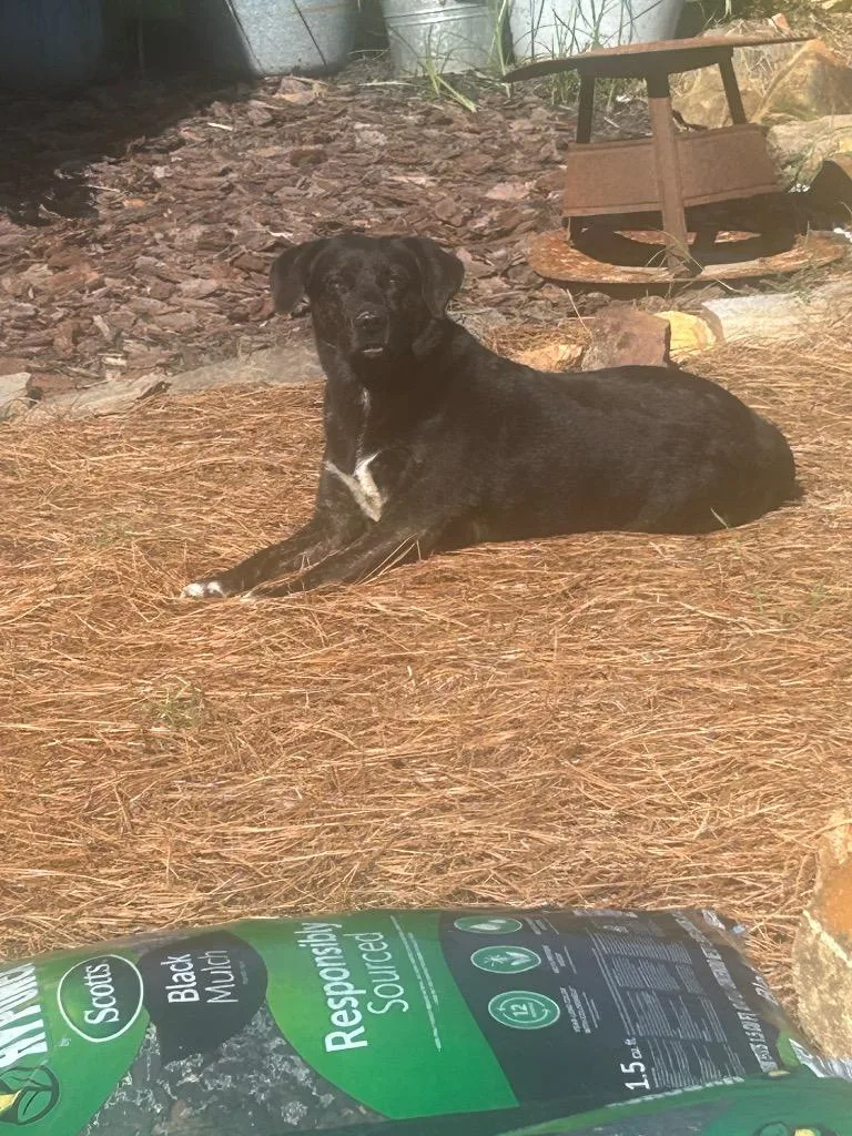 Betsy Mae