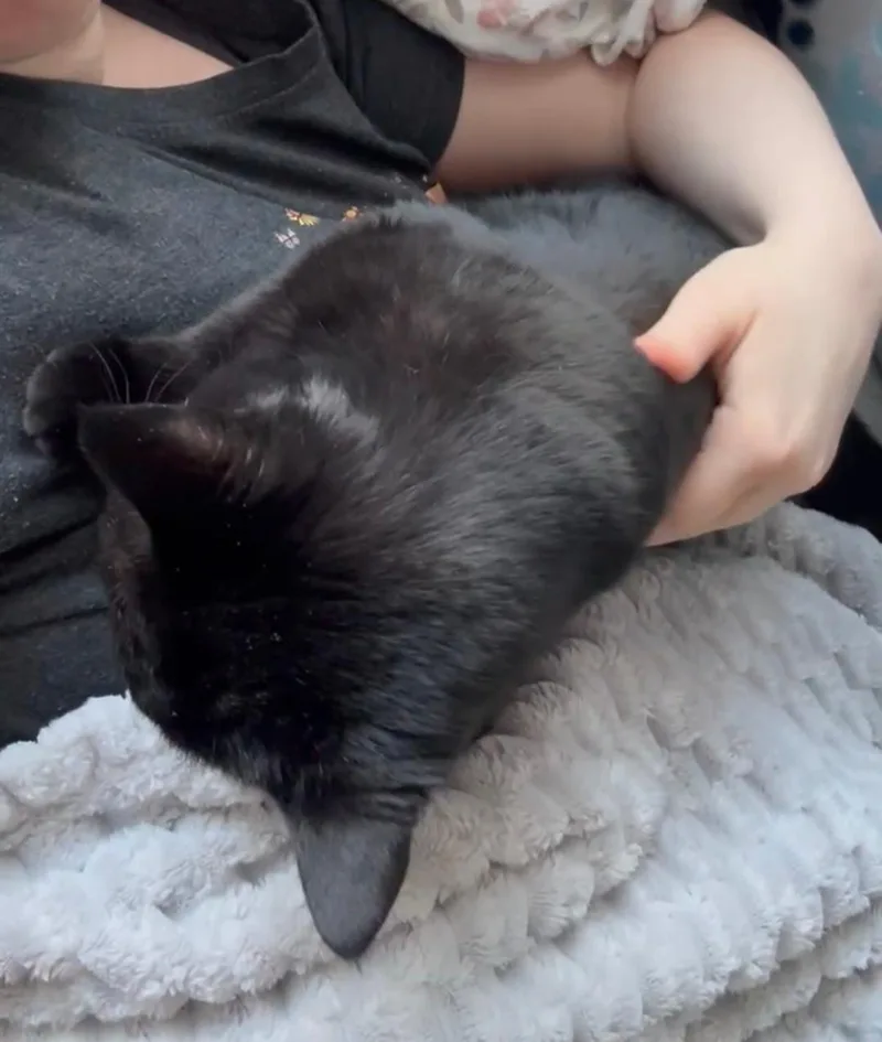 June Bug! thumbnail 2