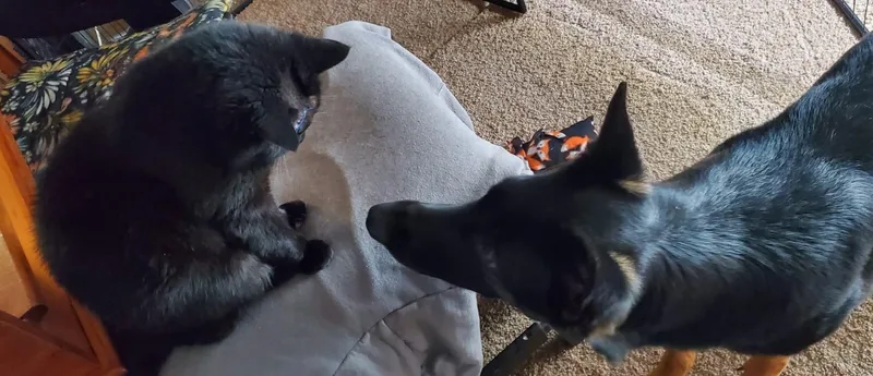 June Bug! thumbnail 4