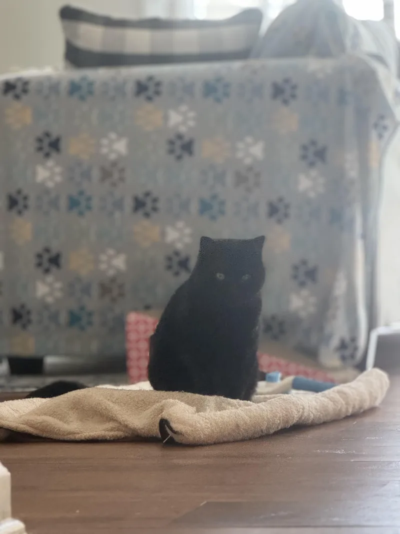 June Bug! thumbnail 5