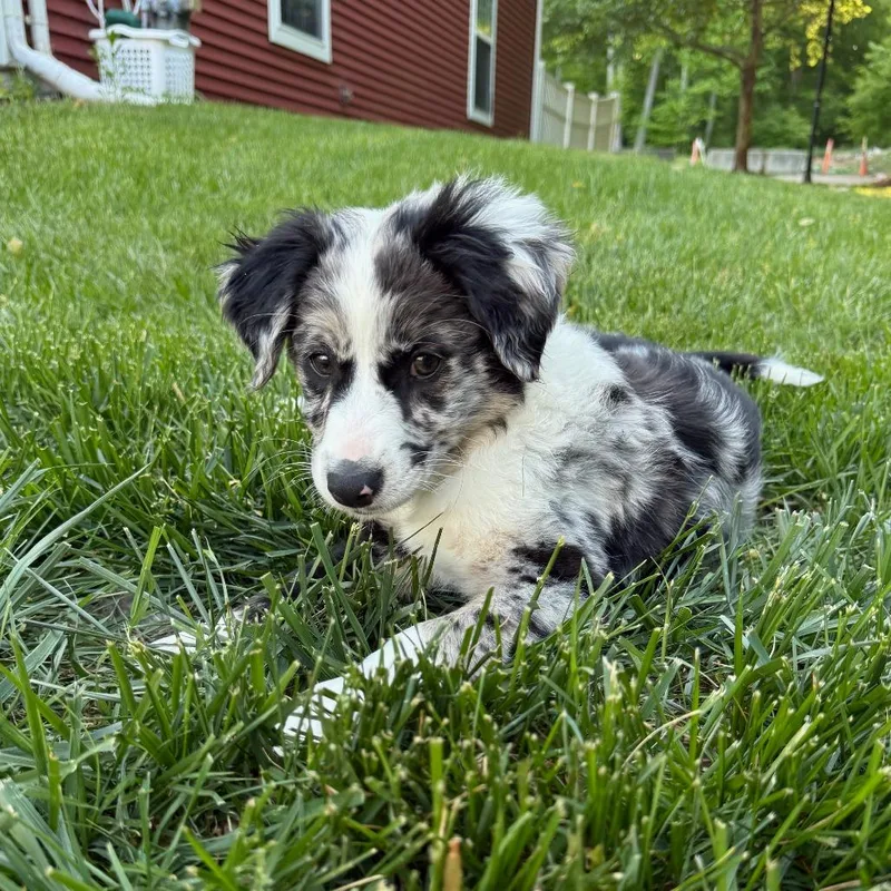 Darla Mae thumbnail 2