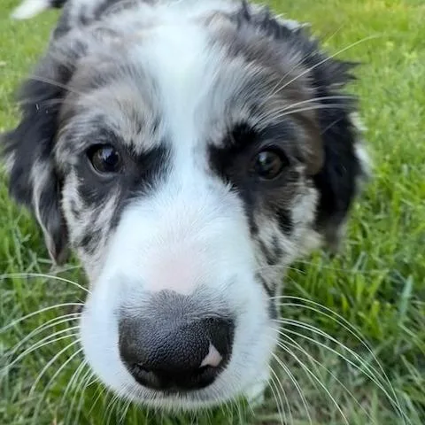 Darla Mae thumbnail 6