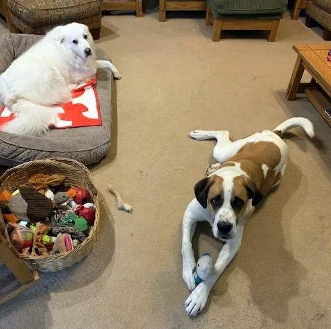 Walter  Joyful Boy! thumbnail 4