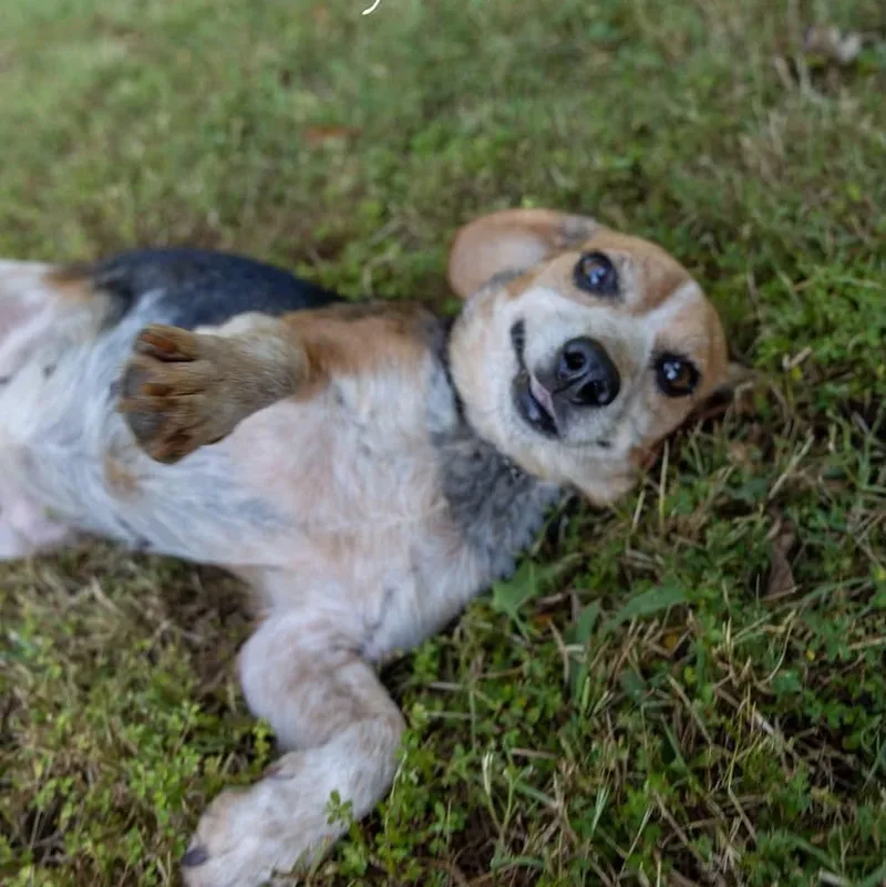 Daisy Duke thumbnail 4