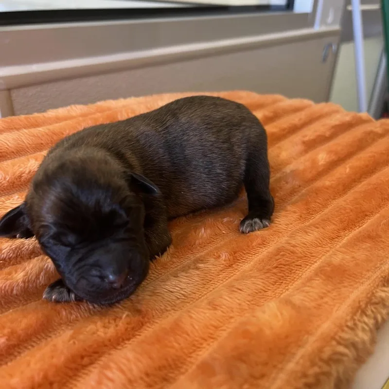 Cosmic Ray thumbnail 2