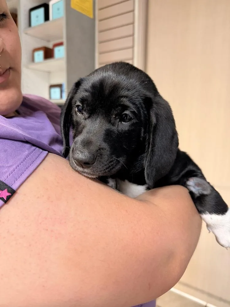 Shadow thumbnail 2