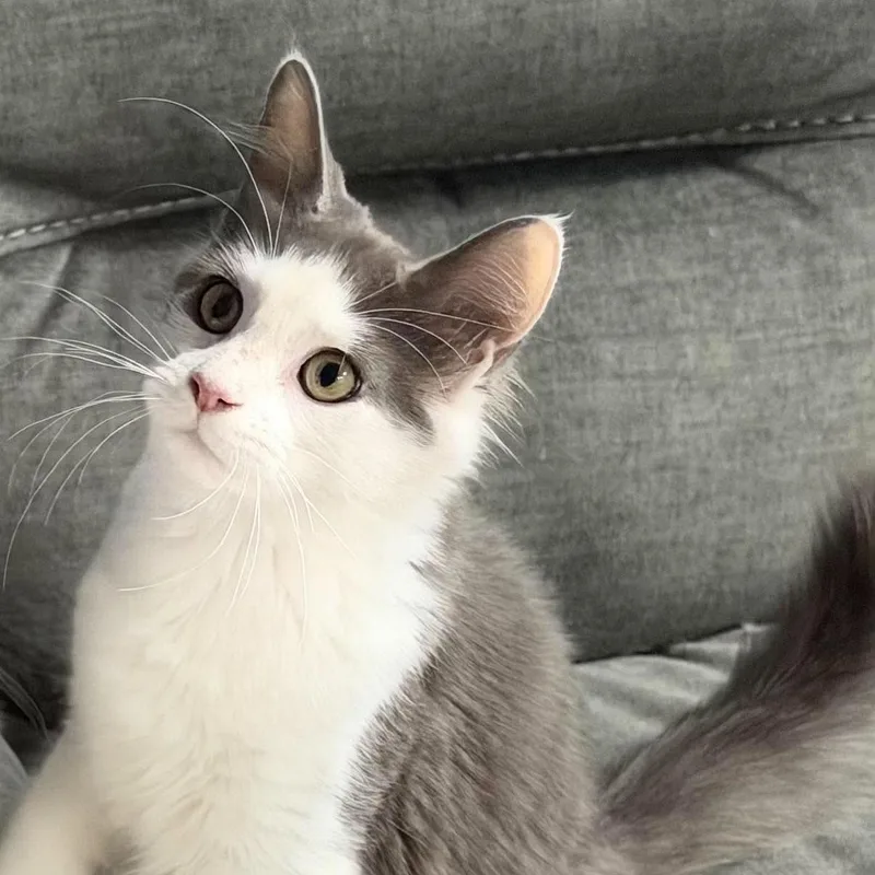 Milo aka Pretty Girl thumbnail 6