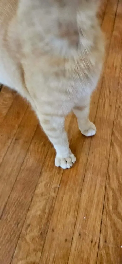 Bucky thumbnail 2