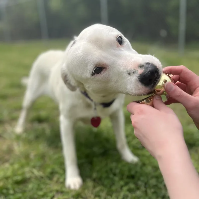 Molly thumbnail 2