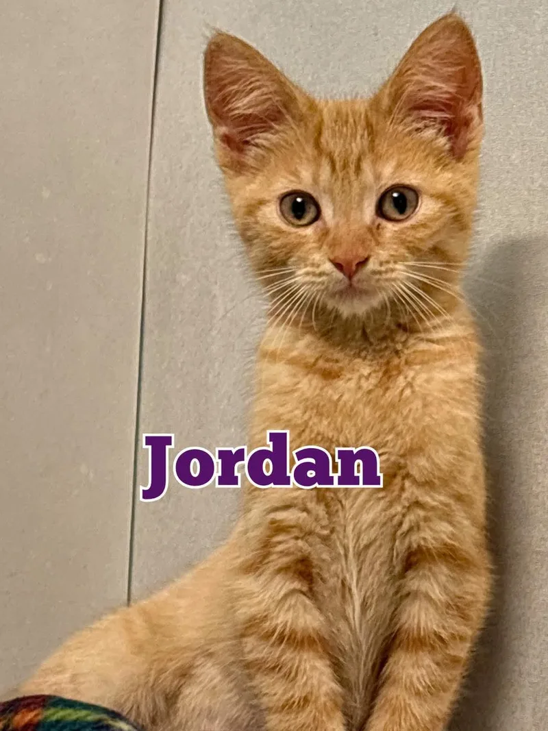 Jordan