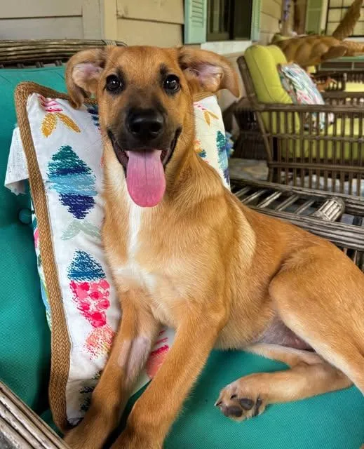 Tasha