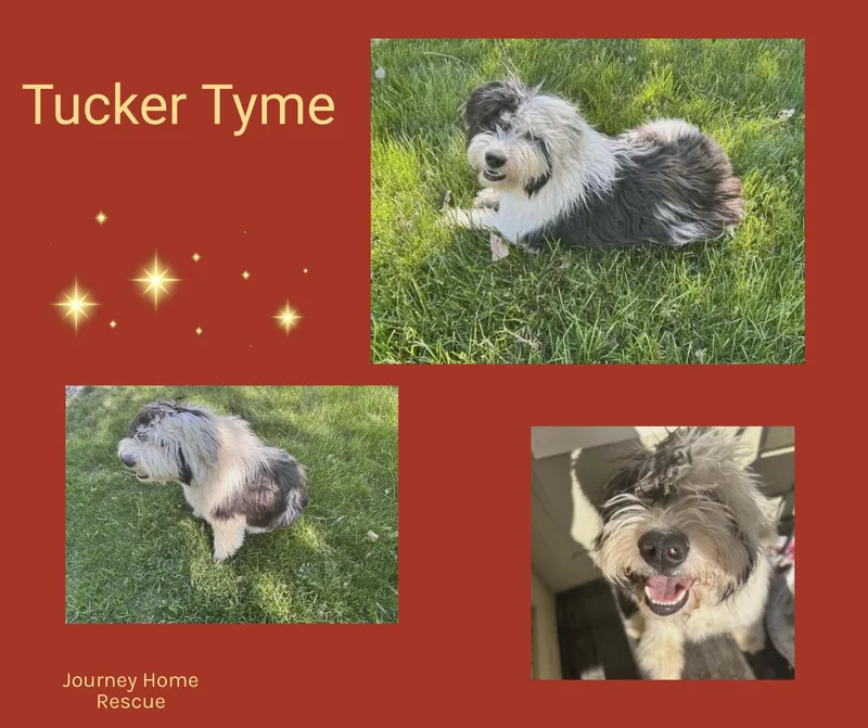 Tucker Tyme