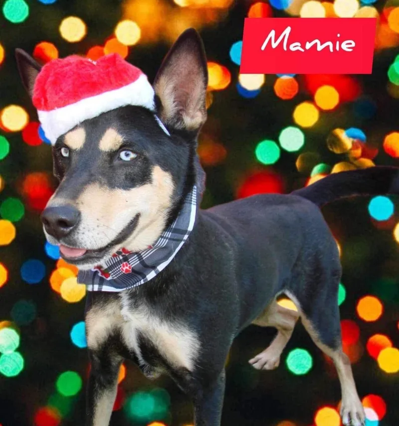 Mamie thumbnail 2
