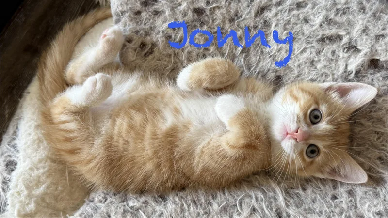 Lily and Jonny thumbnail 3