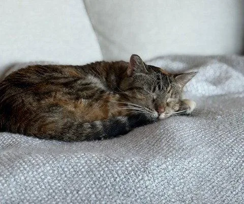 Maryanne thumbnail 2